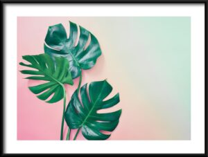 Plakat Zieleń i Róż — wzór 43024