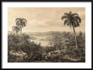 Plakat Dawna Amazonia