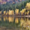 Fototapeta Złote Trójkąty — wzór 43219