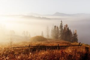 Fototapeta Mglisty Dzień