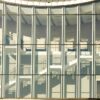 Fototapeta Jesienne Drzewa — wzór 5