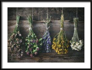 Plakat Barwy Natury