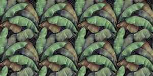 Fototapeta Liście Bananowca — wzór 4