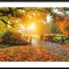 Plakat Delikatne Barwy