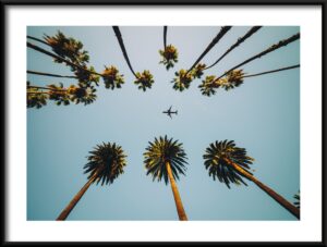 Plakat Samolot Nad Palmami