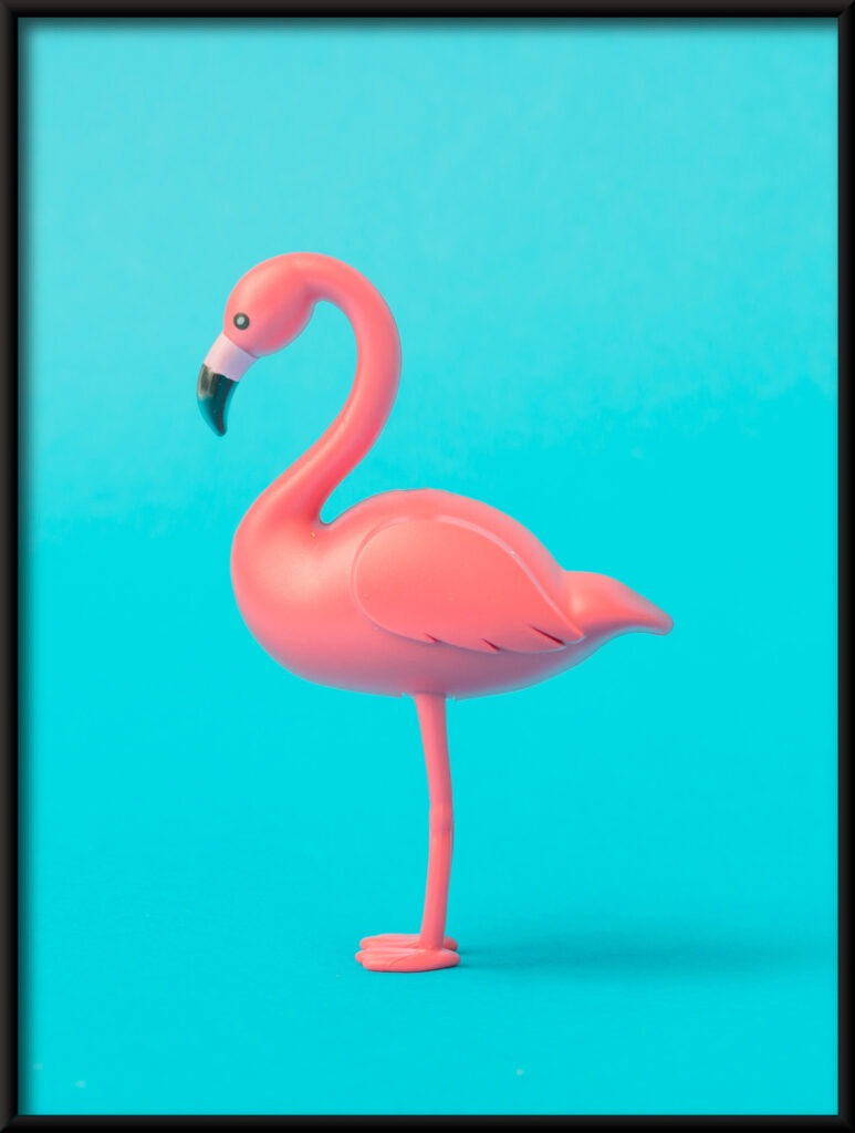 Plakat Profil Flaminga