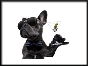 Plakat Pies z Drinkiem