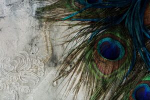 Fototapeta Pawie Pióra — wzór 2