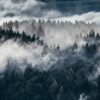 Fototapeta Malowane Flamingi