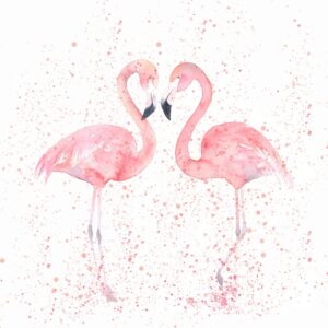 Fototapeta Dwa Flamingi — wzór 50580