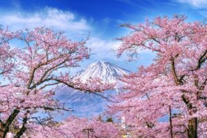 Fototapeta Góra Fuji
