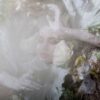 Fototapeta Potężne Liście — wzór 49635