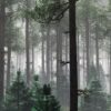 Fototapeta Zielona Mapa — wzór 49639