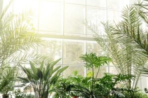 Fototapeta Ogród Botaniczny