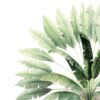 Fototapeta Palmowy Las — wzór 51783