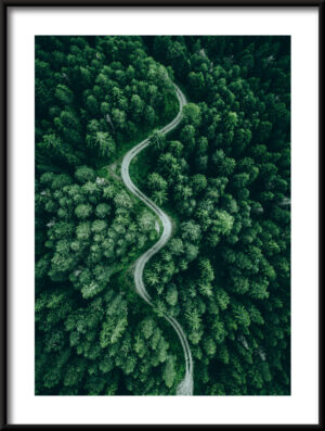 Plakat Zielona Droga — wzór 2
