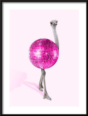 Plakat Struś Disco