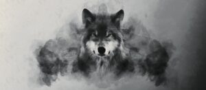 Fototapeta Rozmyty Wilk