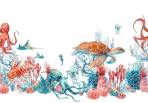 Fototapeta Oceaniczne Zwierzęta