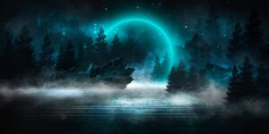 Fototapeta Fantastyczna Noc