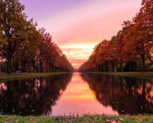Fototapeta Różowe Niebo — wzór 55084