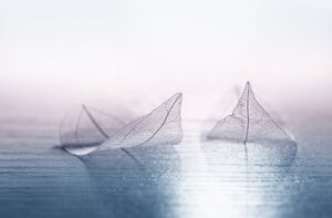 Fototapeta Dwa Liście — wzór 2