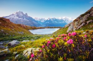 Fototapeta Mont Blanc
