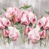 Fototapeta Peonia