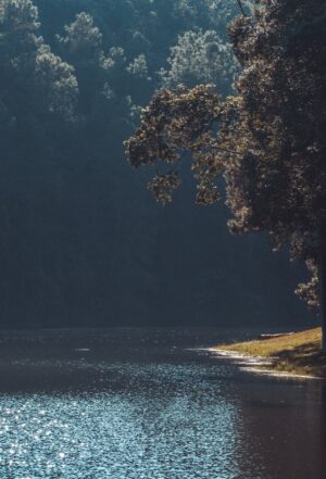 Fototapeta Wodny Zbiornik