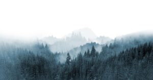 Fototapeta Mgliste Góry — wzór 4