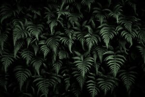 Fototapeta Zielone Listki — wzór 3
