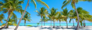 Fototapeta Tropikalna Plaża