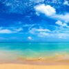 Fototapeta Słoneczna Plaża