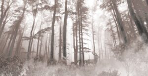 Fototapeta Rodzina Jeleni — wzór 62657