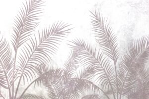 Fototapeta Ciepły Pióropusz Palm