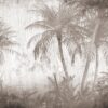Fototapeta Czekoladowe Liście Palm