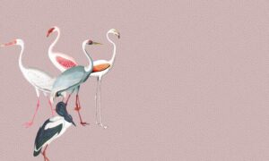 Fototapeta Flamingi w Kropkach