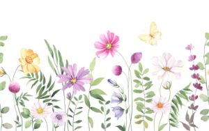 Fototapeta Kwiaty Na Łące