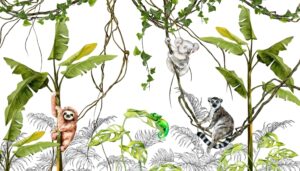 Fototapeta Lemur Na Lianie