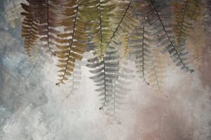 Fototapeta Liście Paproci — wzór 5