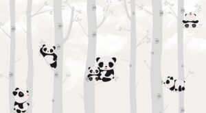 Fototapeta Misie Koala Na Drzewach