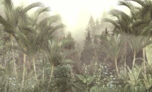 Fototapeta Palmowe Wachlarze