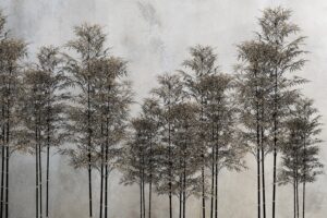 Fototapeta Smukły Las — wzór 2