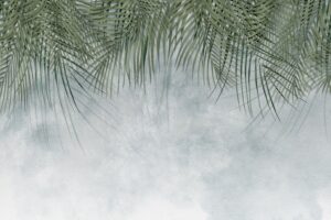 Fototapeta Spływające Liście Palm