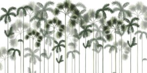Fototapeta Zielony Las Palmowy