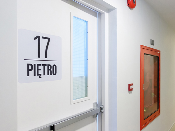 Fototapeta - Dimuro.pl