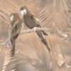 Fototapeta Bambusowy Spokój