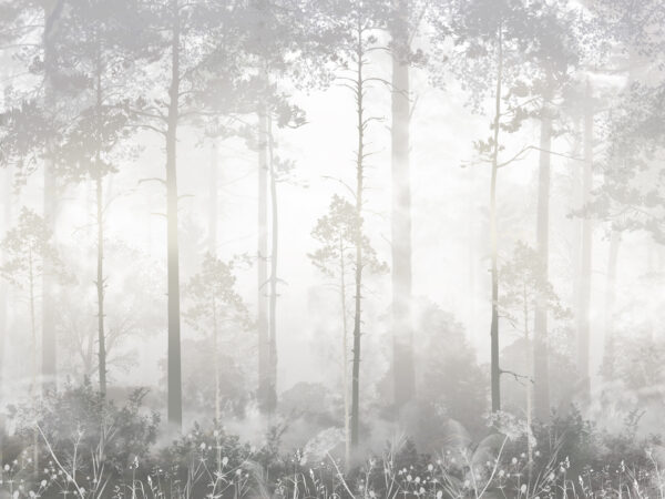 misty forest in the fog wallpaper black and white