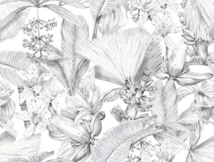 Fototapeta Botaniczna Elegancja
