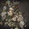 Fototapeta Gałązki Magnolii